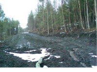 35-128072-driveway.JPG