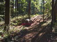D180-WoodsB.jpg