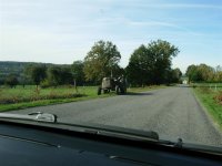 france2 238 (Large).jpg