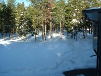 driveway by house.JPG