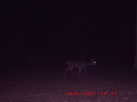 ICAM0013.JPG