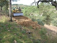 Hillside 009.jpg