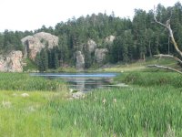 28 Nice Pond just outside Custer State Park, near Custer the city.jpg