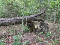 IMG_5516.JPG