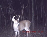 8 point.JPG