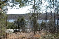 002 first clearing (Small).JPG