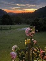 IMG_9940.jpeg
