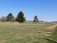 IMG_4707.jpg