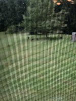 IMG_4079.jpeg