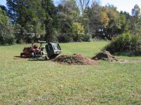 acre of leaves 2.jpg