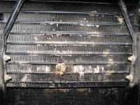 IMG_2347_2_2_1.JPG