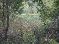 80% clear zoom.jpg