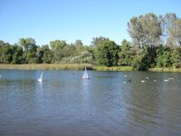 boats-1.JPG