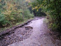 driveway C.jpg