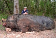Hogzilla.jpg