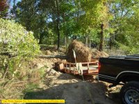 Rootball on trailer.jpg