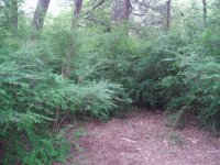 April2007_009.jpg