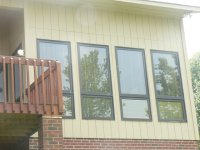 back windows.JPG
