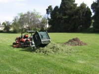 Compost 2.jpg