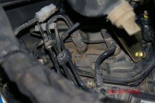 Injectors.jpg