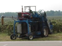 mvc00026-1.jpg