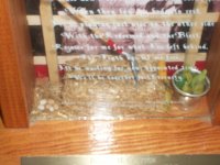 Memorial Shadow Boxes 007.jpg