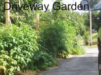 Driveway Garden.JPG