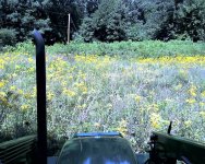 Field_a.jpg