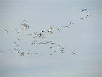 DSCF1828 (Medium).JPG