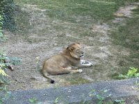 IMG_3485[1].JPG