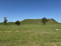 IMG_3512[1].JPG
