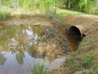 Culvert.JPG