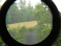 trijicon.JPG