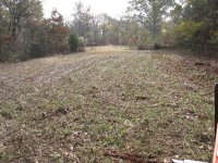 food-plot (2).JPG