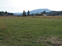 The View Out The Front.JPG
