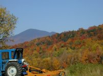 327825-Fall_colors_tractro_brushhog2.jpg