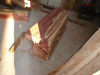 DSC04363 (Medium).JPG