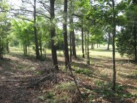 IMG_0105.JPG