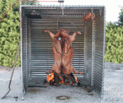 cochon02300.gif