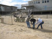 sand fence 2.jpg