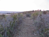 IMG_5789smallfile.jpg