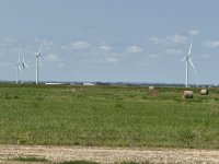 IMG_3539[1].JPG
