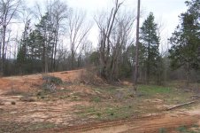 35  Trees along third dirt pile that have to come out..jpg