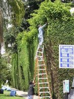 LadderSafety.jpg
