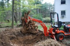 stump2.jpg
