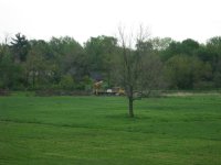 From house across field.JPG