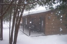 snowy 001.jpg