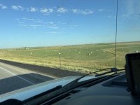 IMG_3550[1].JPG