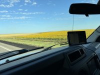 IMG_3549[1].JPG