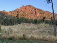 IMG_3590[1].JPG